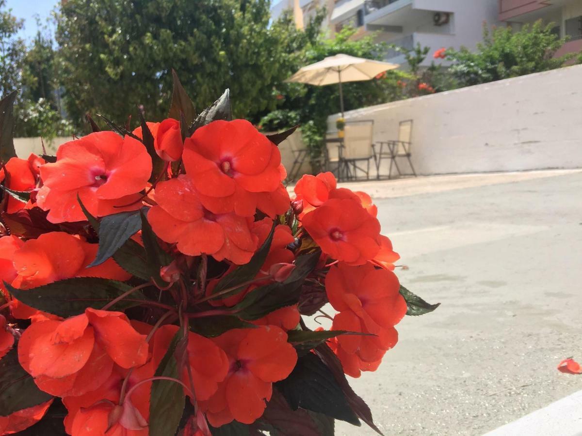 Renovated Apt 100M From Beach Wifi Ac Anavyssos Zewnętrze zdjęcie